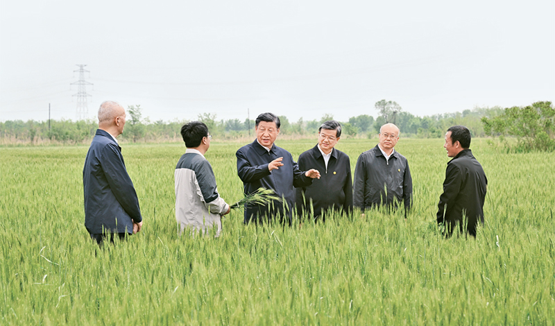 2023年5月11日至12日，中共中央總書(shū)記、國(guó)家主席、中央軍委主席習(xí)近平在河北考察，并主持召開(kāi)深入推進(jìn)京津冀協(xié)同發(fā)展座談會(huì)。這是11日上午，習(xí)近平在滄州市黃驊市舊城鎮(zhèn)仙莊片區(qū)旱堿地麥田考察時(shí)，同種植戶、農(nóng)技專家親切交流。 新華社記者 李學(xué)仁/攝